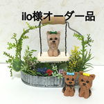 ★ ilo様オーダー品 お花畑のブランコ ヨークシャーテリア2匹 ★