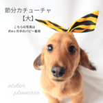 節分カチューシャ【大】(ワイヤー入り) ペットと楽しく節分を  ～ワンちゃん ネコちゃん用～  犬用スタイ