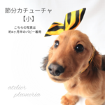【再販】節分カチューシャ《小》(ワイヤー入り) ペットと楽しく節分を  ～ワンちゃん ネコちゃん用～  犬用スタイ