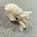 🦑アオリイカのブローチ🦑