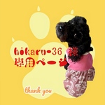 hikaru-36 様　専用ページ