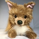 長毛チワワの小さなポーチバッグ、又はぬいぐるみ