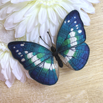 【再販】ヘレナモルフォ（オーロラ）の立体刺繍ブローチ