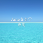 Aineさま♡専用ページ