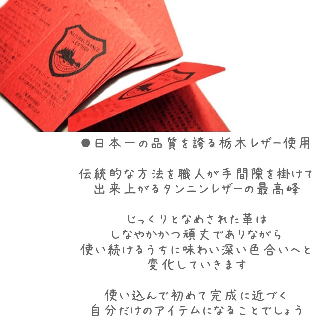 フルオーダー】鍉鍼ケース ていしんケース 栃木レザー