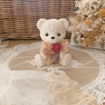 春のテディベアさん🧸🌸𓂃.◌𓈒𖡼𓂂