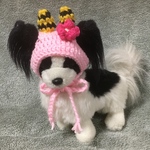 節分❤️鬼帽子❤️小型犬用帽子・チワワ用