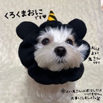 犬の👹くろくまおに🖤2025