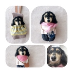maroran 様専用♡newおでかけわんこ『うちの子オーダー』(mii._.wool)