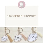 1227trさま専用ページとなります