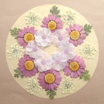 押し花セット⑱組み立てのお花＆ノースポール＆レースフラワー他＞