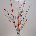竹花