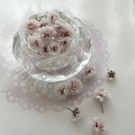  《0114-①》【セール‼️】410円⇒300円＊かすみ草ドライフラワー