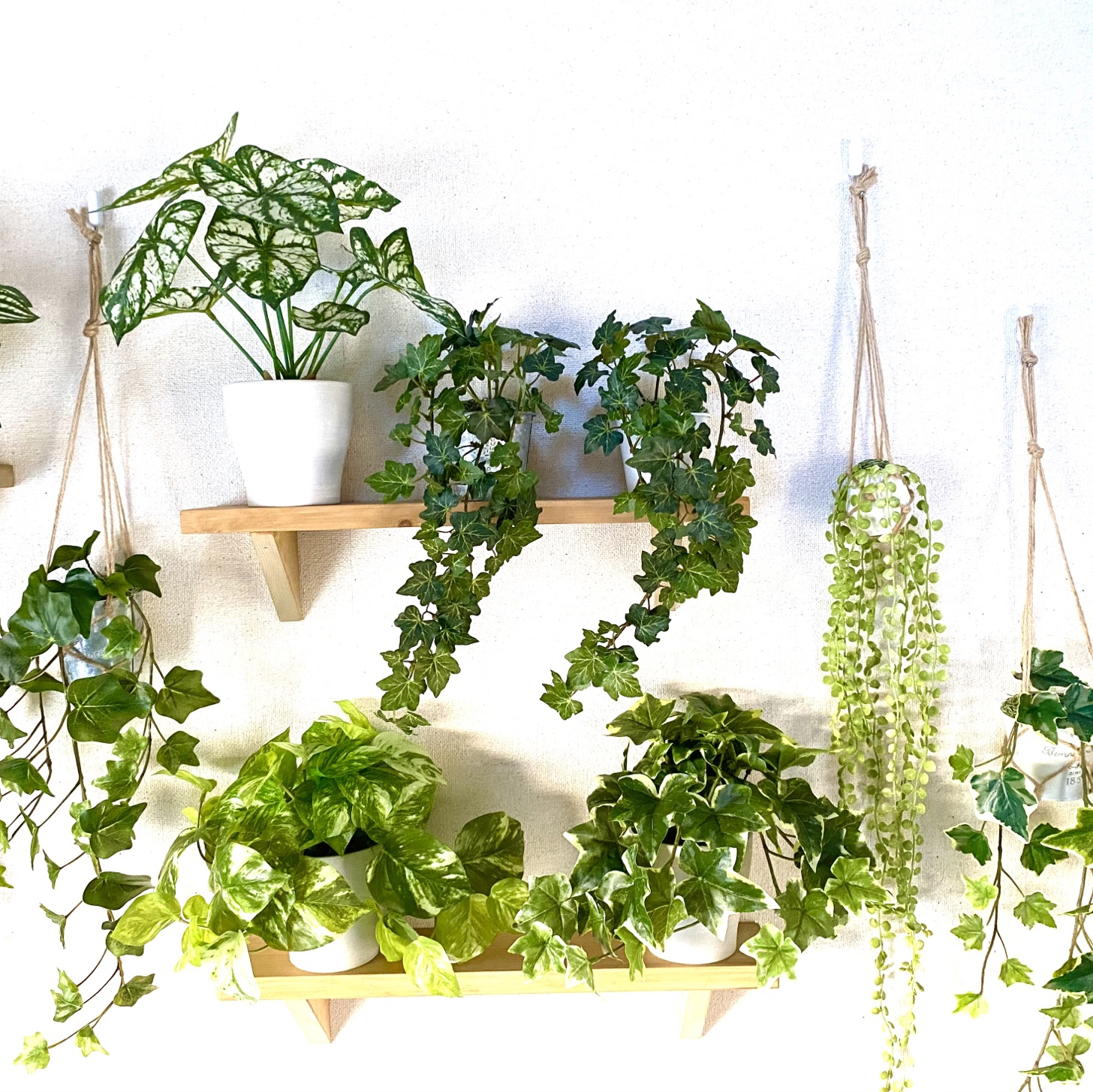 光触媒人工観葉植物ウォールグリーンフェイクグリーンユーカリ118