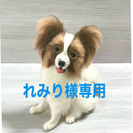 羊毛フェルト　パピヨン