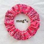 PINKペイズリー猫シュシュ首輪