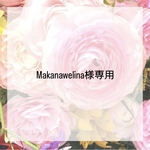 Makanawelina様専用　シリコンモールド