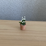 スズラン　ミニミニテラコッタ鉢　6
