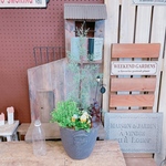 オシャレ♡【高さのあるシックな寄せ植え】素敵なアイアンピックつきガーデニング♡ブラック系器