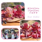 ハーネス リードセット ☆ あちゃもちゃんこちゃもちゃんご注文分