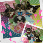 s0801様専用オーダー犬 わんこ羊毛フェルトストラップ