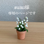スズランテラコッタ鉢　他