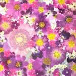 ♡new♡作家様必見♡押し花MIXセット♡押し花セット