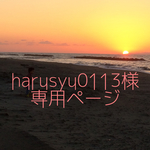 ☆harusyu0113様専用ページ☆