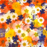 ♡new♡作家様必見♡押し花MIXセット♡押し花セット