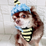 犬 鬼 節分