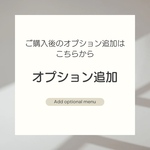 オプション追加300