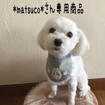 犬用スタイ・アニバーサリースタイ
