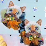 𓃠🤎   シャム猫ちゃん 🤎𓃠
