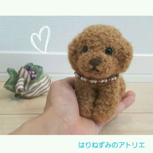 トイプードル赤ちゃん