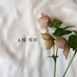 n様専用