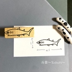 【ヨロイザメ】海の生き物シリーズ