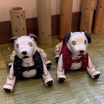 半纏ペアセット(絣、黒、赤)