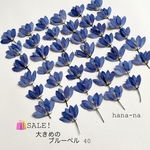 🛍️SALE!🔹ブルーベル 横向き 40輪　＊ 押し花