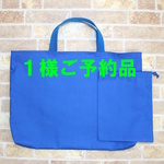 １様ご予約品　無地 青　マチ付きレッスンバッグ・巾着袋 セット