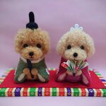 【F様専用】　羊毛フェルトで作ったトイプードルのお雛様🎎　　