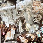 1ループ✂️切り売り　台湾マステ 光沢 PET 猫のティーザー🐈✨