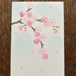 101395様専用　桜3種（春爛漫、桜咲く、桜一輪）