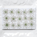 ☆押し花☆　レースフラワー　茶ねず色　　　花材　素材　小花　レジン　ネイル　ベージュ