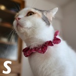 《ザビエルS》リバティ ハート・キャノピー ローズ