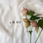 a様専用