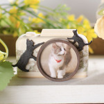 猫ちゃんのミニフォトフレーム 