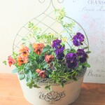 ❁フリルビオラとクローバー　おしゃれなお花の寄せ植え　贈り物にも