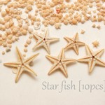 天然素材♪小さなヒトデ/スターフィッシュ/10個