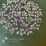🌸ピンク染めシャク  ＊ 押し花
