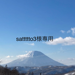 ペンダントトップ　　ムーンストーンとさざれ石